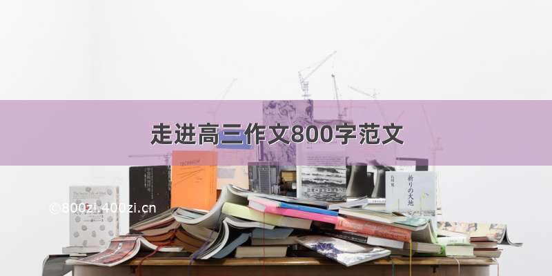 走进高三作文800字范文