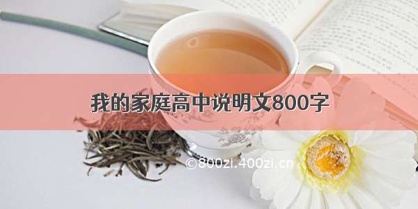 我的家庭高中说明文800字