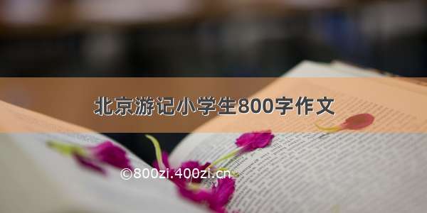 北京游记小学生800字作文