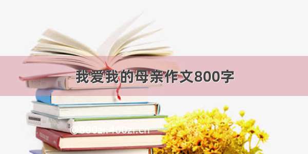 我爱我的母亲作文800字