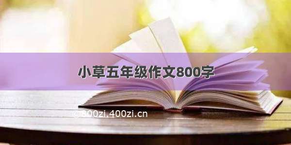 小草五年级作文800字