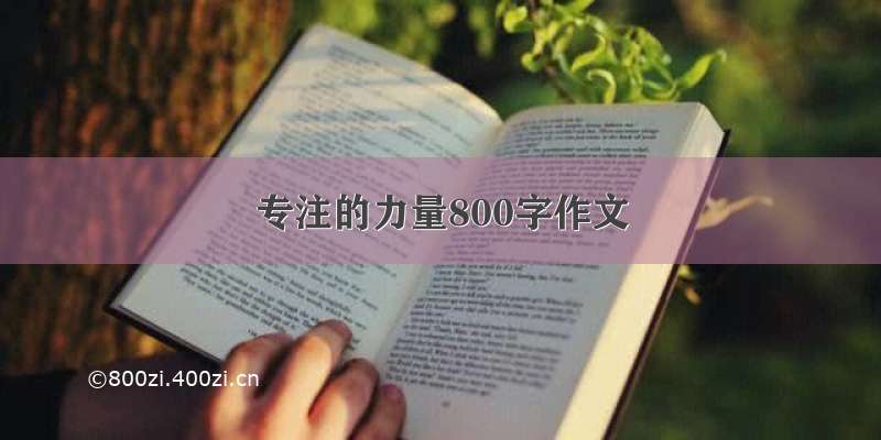 专注的力量800字作文