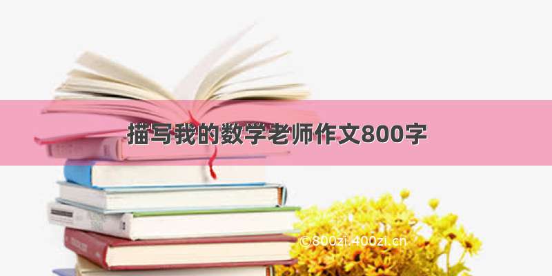 描写我的数学老师作文800字