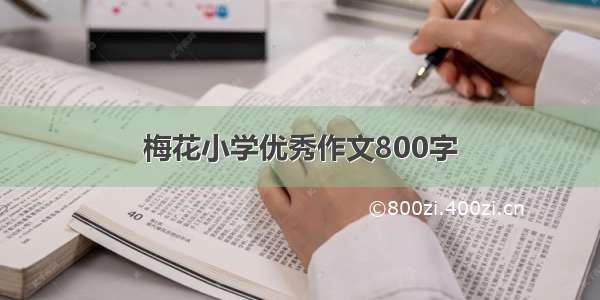 梅花小学优秀作文800字