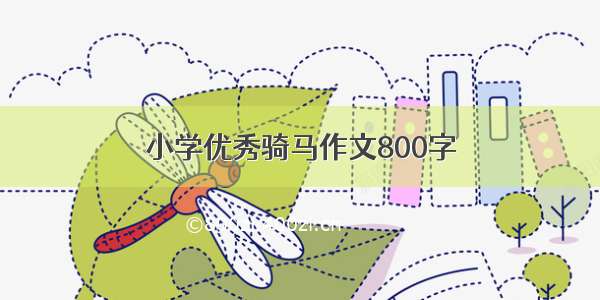 小学优秀骑马作文800字