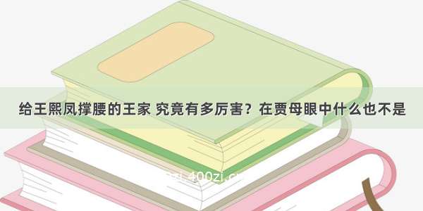 给王熙凤撑腰的王家 究竟有多厉害？在贾母眼中什么也不是