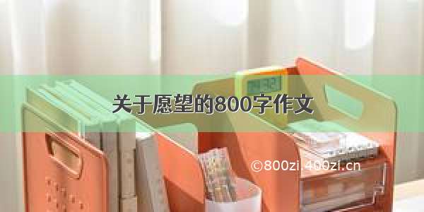 关于愿望的800字作文