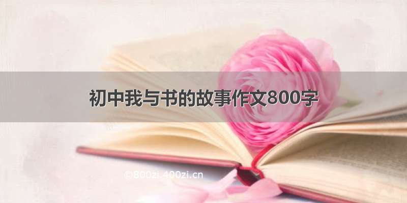 初中我与书的故事作文800字