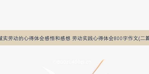 诚实劳动的心得体会感悟和感想 劳动实践心得体会800字作文(二篇)