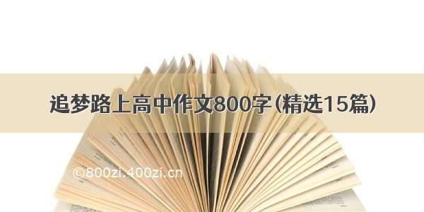 追梦路上高中作文800字(精选15篇)