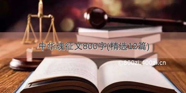 中华魂征文800字(精选12篇)