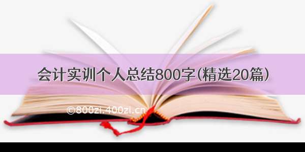 会计实训个人总结800字(精选20篇)