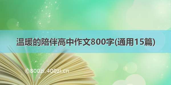 温暖的陪伴高中作文800字(通用15篇)