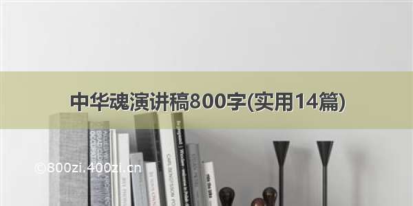 中华魂演讲稿800字(实用14篇)