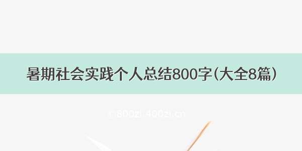 暑期社会实践个人总结800字(大全8篇)