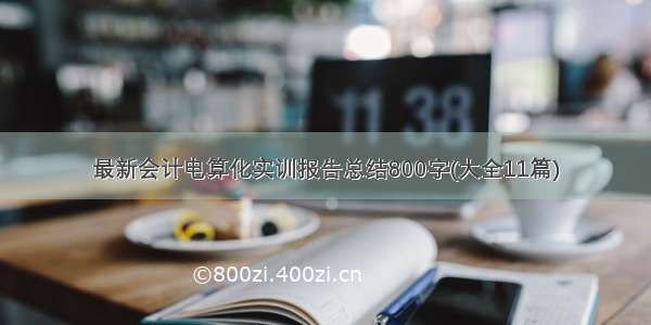 最新会计电算化实训报告总结800字(大全11篇)