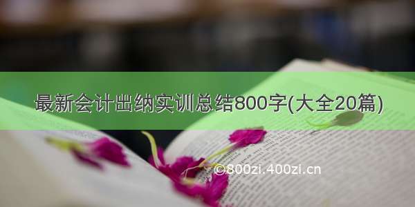 最新会计出纳实训总结800字(大全20篇)