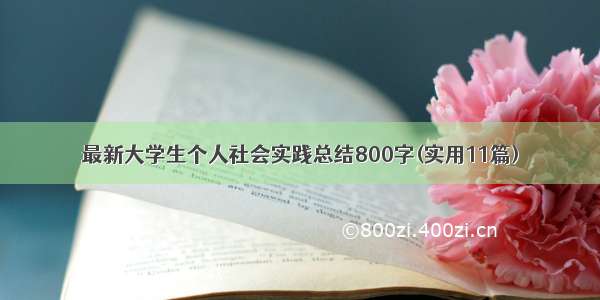 最新大学生个人社会实践总结800字(实用11篇)