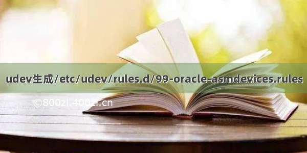 udev生成/etc/udev/rules.d/99-oracle-asmdevices.rules