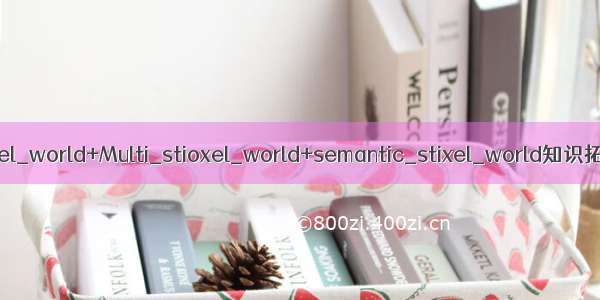 stixel_world+Multi_stioxel_world+semantic_stixel_world知识拓展
