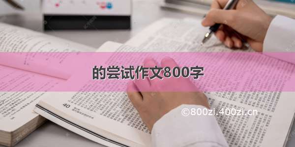 的尝试作文800字