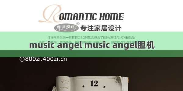 music angel music angel胆机