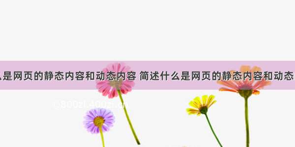 什么是网页的静态内容和动态内容 简述什么是网页的静态内容和动态内容