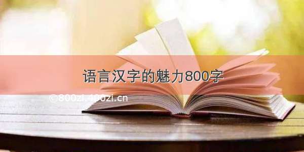 语言汉字的魅力800字