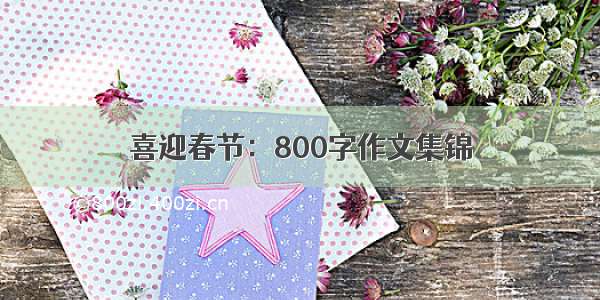 喜迎春节：800字作文集锦