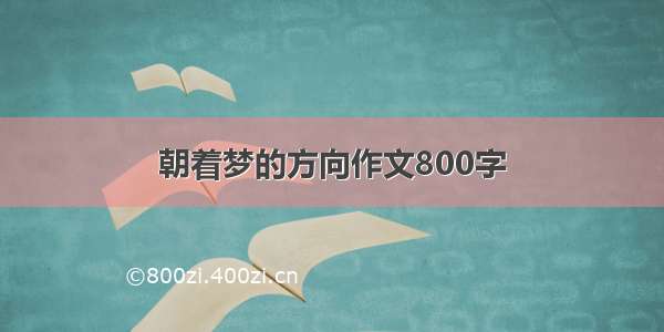 朝着梦的方向作文800字