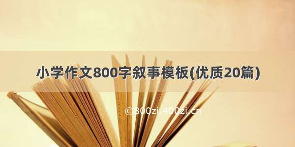 小学作文800字叙事模板(优质20篇)