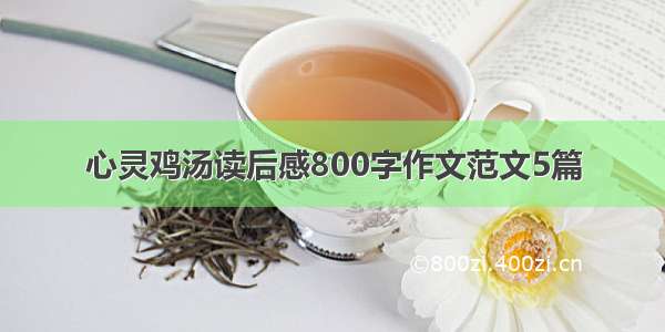 心灵鸡汤读后感800字作文范文5篇