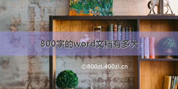 800字的word文档有多大