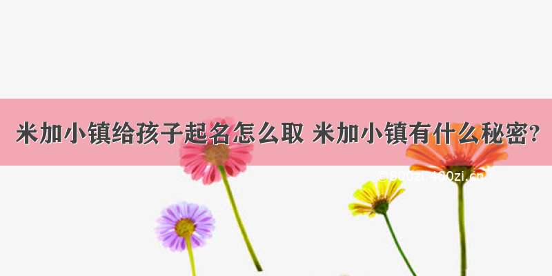 米加小镇给孩子起名怎么取 米加小镇有什么秘密?