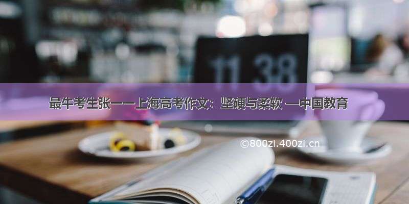 最牛考生张一一上海高考作文：坚硬与柔软 —中国教育