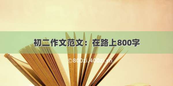 初二作文范文：在路上800字