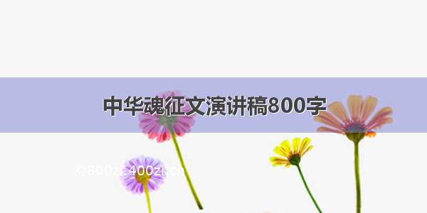 中华魂征文演讲稿800字