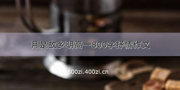 月是故乡明高一800字抒情作文