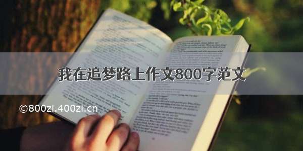 我在追梦路上作文800字范文