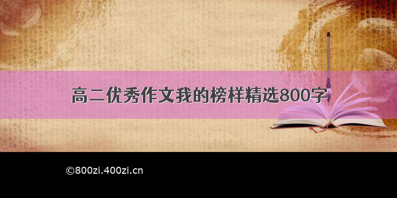 高二优秀作文我的榜样精选800字