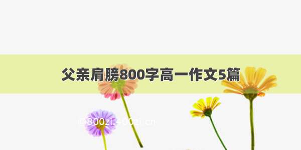 父亲肩膀800字高一作文5篇