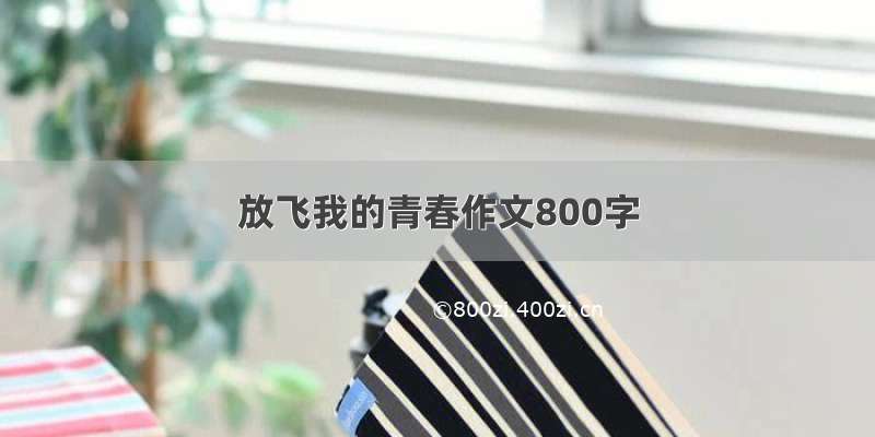 放飞我的青春作文800字