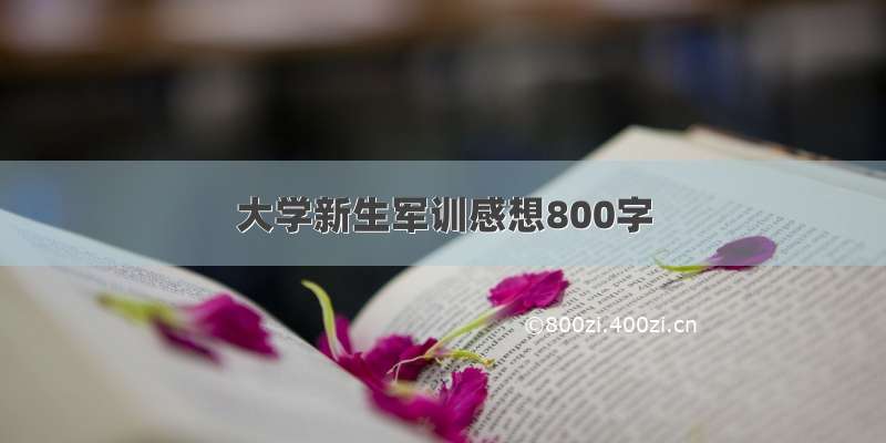 大学新生军训感想800字