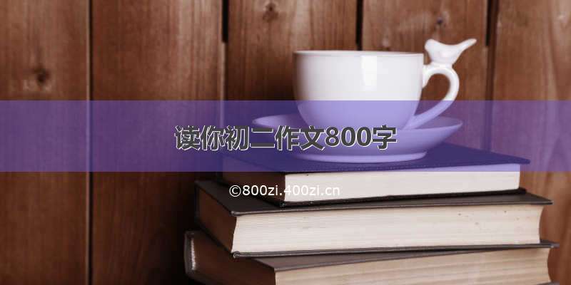 读你初二作文800字