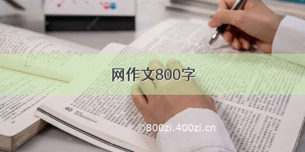 网作文800字