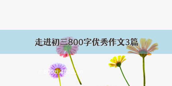 走进初三800字优秀作文3篇