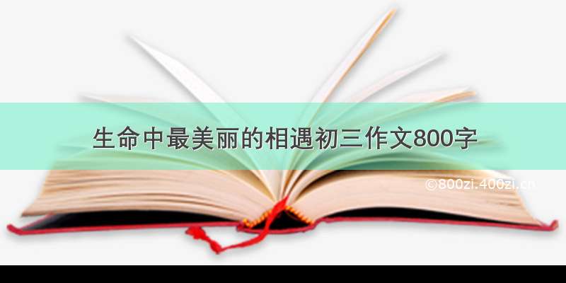 生命中最美丽的相遇初三作文800字