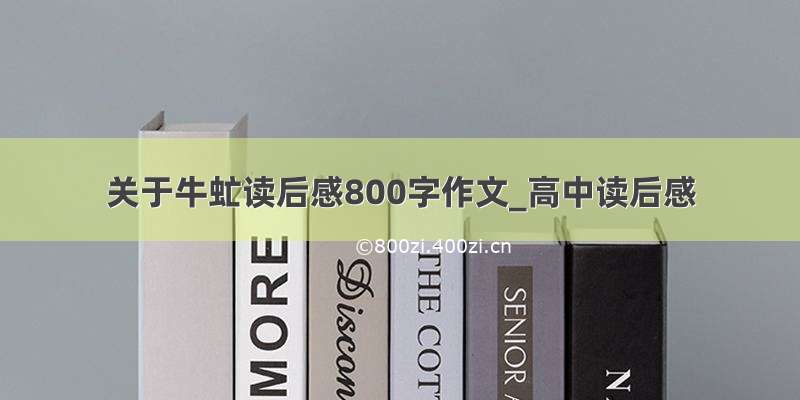 关于牛虻读后感800字作文_高中读后感