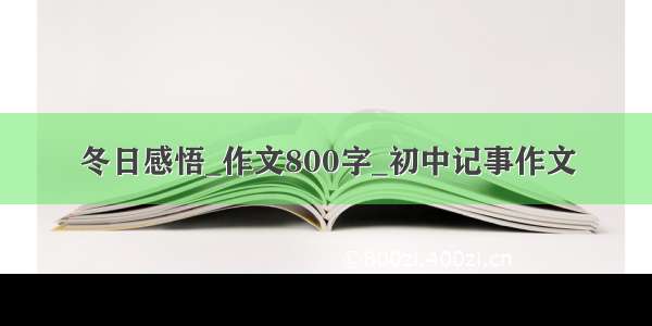 冬日感悟_作文800字_初中记事作文