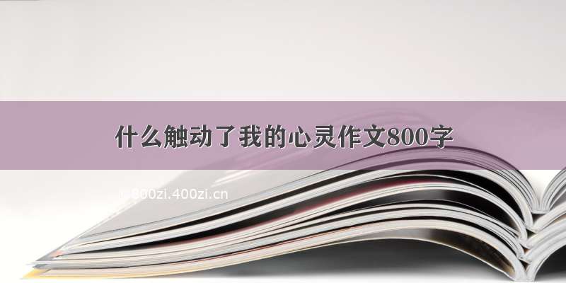 什么触动了我的心灵作文800字